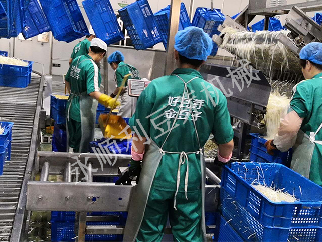 金豆子蔬菜食品有限公司某總日產(chǎn)200噸全自動豆芽菜設備
